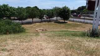 unicornprincessjayne 26 February 2020