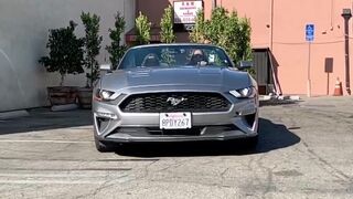 siripornstar Luxurious bitch