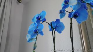 officialkmbooty Doll in