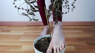 manyvids megaplaygirl bitch jerks off dildo