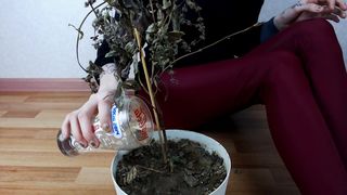 manyvids megaplaygirl bitch jerks off dildo