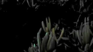 manyvids Ashe Maree naughty baby cock gets pussy fucked