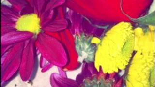 manyvids Ana Dhara video 10.06.2019