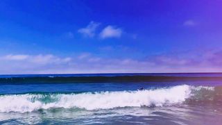 manyvids saffron  defile sexy whores