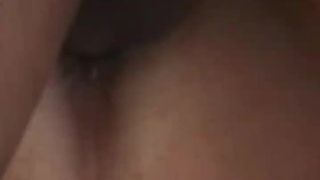 manyvids diamond lou  delicious slut seduces with elastic ass