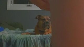 carlyann06 openwork blonde erotically moving in front of the camera