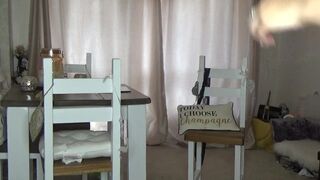 Penny Lee cutie whore fucks vagina hard