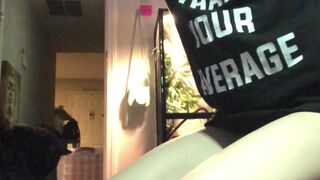 stacysinn Gourmet krala