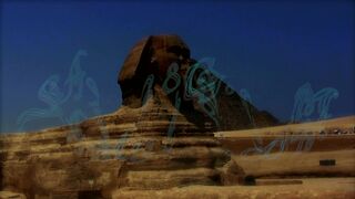 sam38 webcam activity