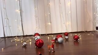 ashleyfancyfetish_ 11 December 2020