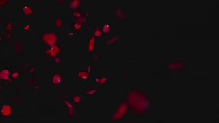 victoria may89veritas 11 October 2020