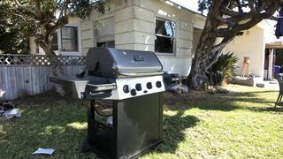 julianjaxon_ big breasted sluts masturbate cunt