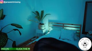 ocicat big need and big horse agret