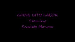 Scarlett Monroe Adult blonde