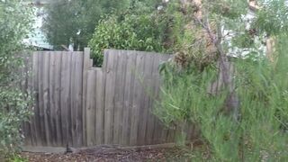 Lacey Diamond showing charms