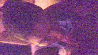 Mocca_Angelface busty naughty babe caresses shaved pussy