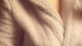 blondie_oficial 17 January 2020