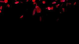 Riley_Cyriis 09 December 2020