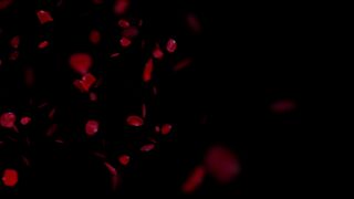 Riley_Cyriis home fucking cancer