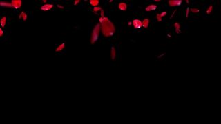 Riley_Cyriis impressive passion passionately banged in the anus