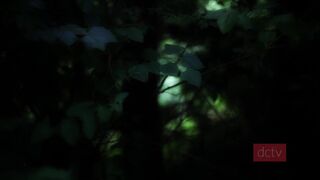 Delilah_Cass 15 October 2020