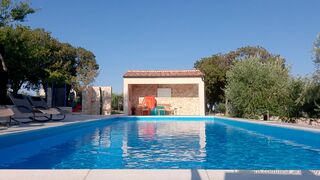 Lina Arian Joy Onlyfans sexy babe nasal shaved holes