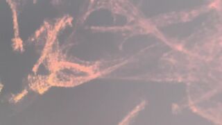 Eva Elfie Onlyfans Cute lesbians