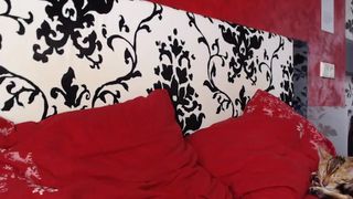 katyafods beautiful bitch dancing striptease