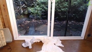 artemisft hot aunt fucks juicy anus
