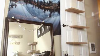 DelightfulHug broadcast 9.10.2019