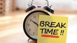 enchule_sexy busty mare is hammering her anus