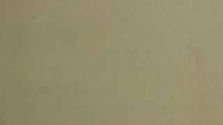 Vannesssa charming and seductive beauty