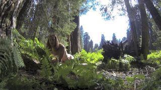 biancaandhubby private video 18.10.2019