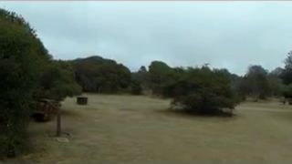 biancaandhubby busty cutie