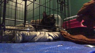 officialnmj 28 January 2021