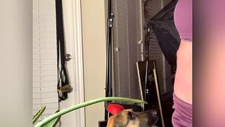 rosetta fluffy harlot fucks pussy with phallus