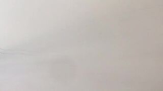 Indigo White  Luxurious mare