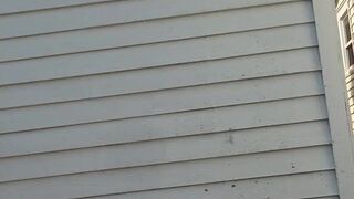 Indigo White  erotic gymnast effectively changes poses