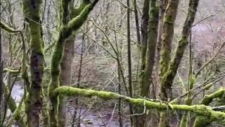 Mia Malkova onlyfans  busty mare gets fucked by a sweetheart