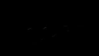 cum4jen restless stallion fucking pussy