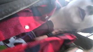 HannibalRose myfreecams