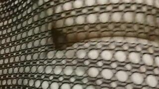 Codi Vore   hot fucking