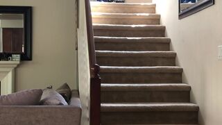 xnicoleanistonx   shows off her milking