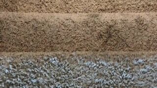 modeltaylork 24 March 2020