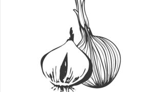 jaydencole pretty woman undressed in front of the camera and masturbates in the chair