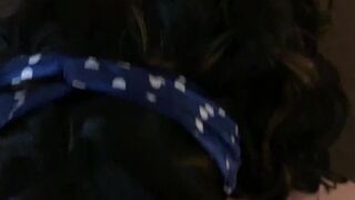 bee_naia  29 October 2020