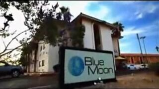 angelasalvagno 07 January 2021