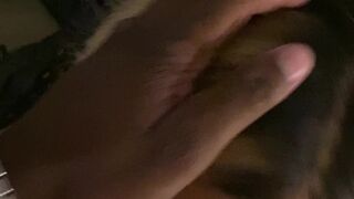 laceyduvalle Perfect bitch