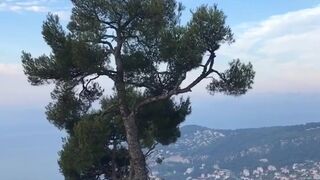 cjmiles onlyfans crazy bitch hard fingering both holes