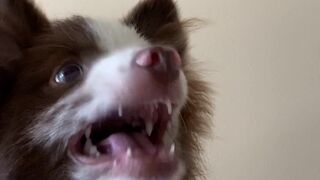 elianarose onlyfans fucked at work